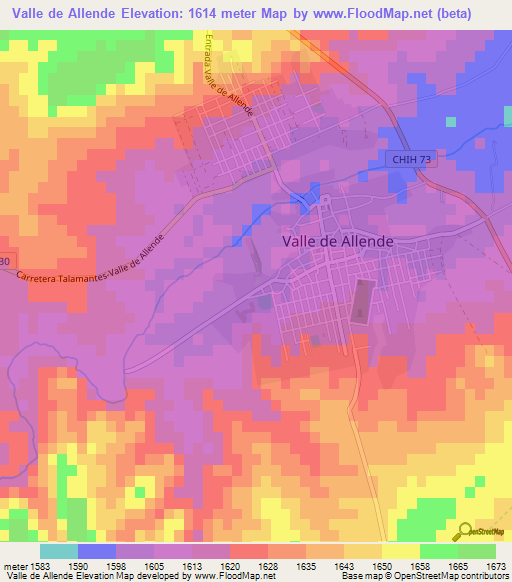 Valle de Allende,Mexico Elevation Map