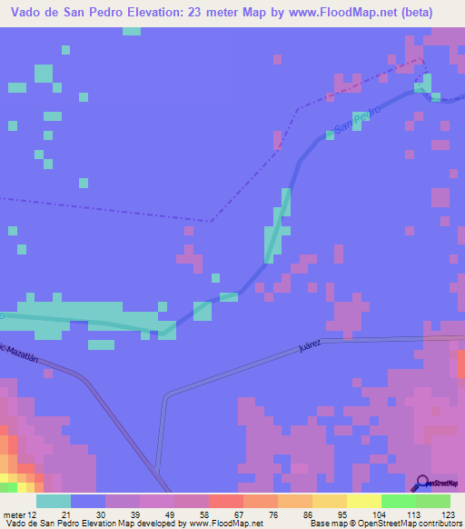 Vado de San Pedro,Mexico Elevation Map