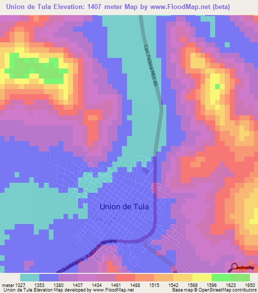 Union de Tula,Mexico Elevation Map