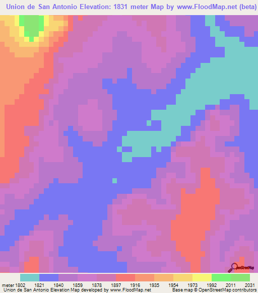 Union de San Antonio,Mexico Elevation Map