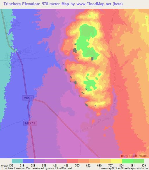 Trinchera,Mexico Elevation Map