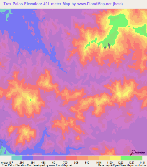 Tres Palos,Mexico Elevation Map