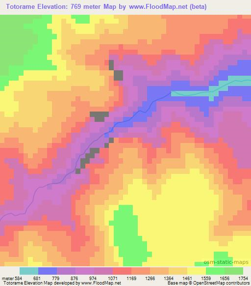 Totorame,Mexico Elevation Map