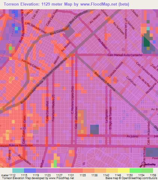 Torreon,Mexico Elevation Map