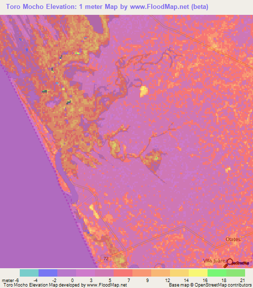 Toro Mocho,Mexico Elevation Map