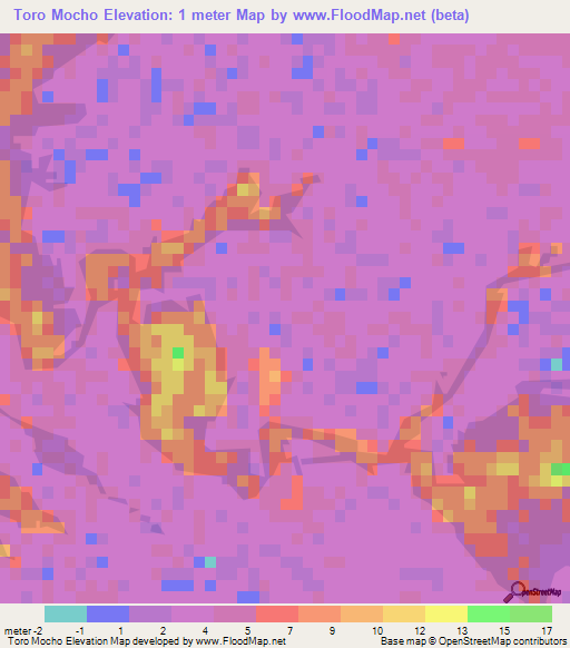 Toro Mocho,Mexico Elevation Map