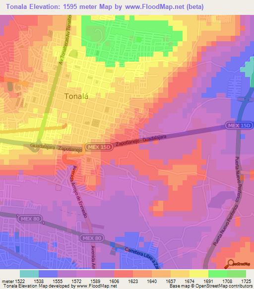 Tonala,Mexico Elevation Map