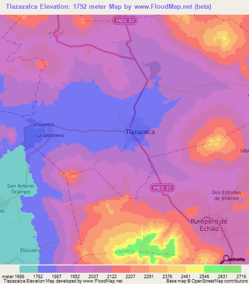 Tlazazalca,Mexico Elevation Map