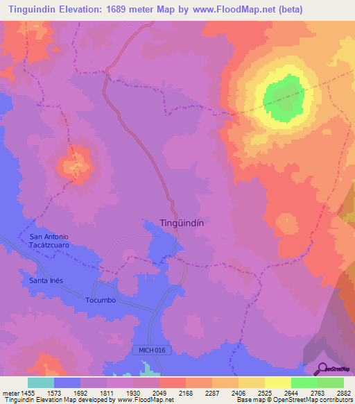 Tinguindin,Mexico Elevation Map