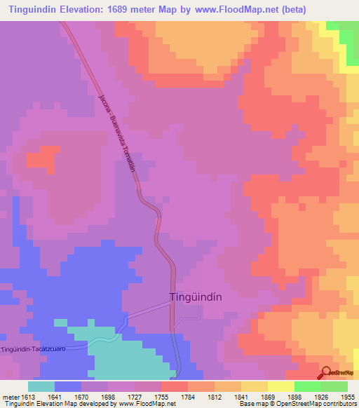 Tinguindin,Mexico Elevation Map