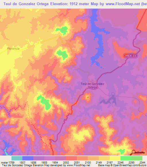 Teul de Gonzalez Ortega,Mexico Elevation Map