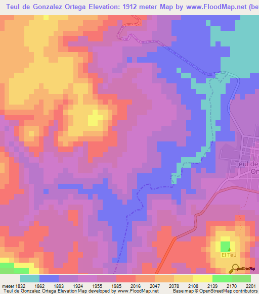 Teul de Gonzalez Ortega,Mexico Elevation Map