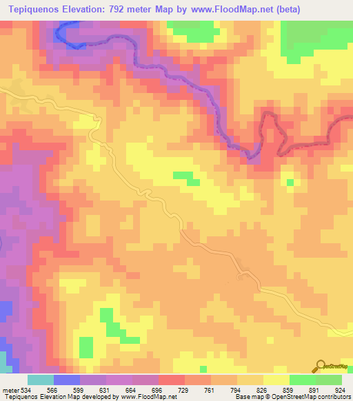 Tepiquenos,Mexico Elevation Map