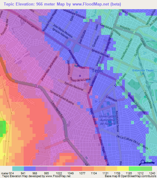 Tepic,Mexico Elevation Map