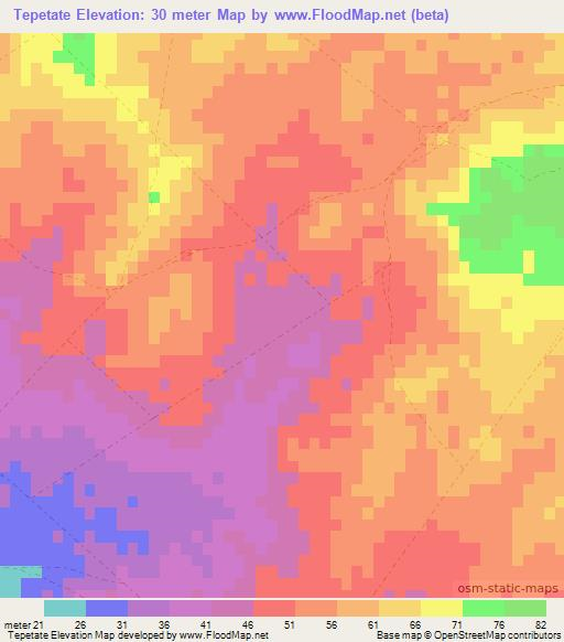 Tepetate,Mexico Elevation Map