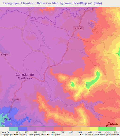 Tepeguajes,Mexico Elevation Map