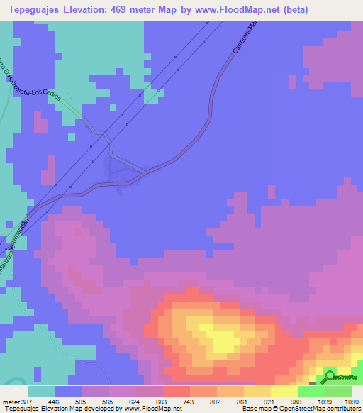 Tepeguajes,Mexico Elevation Map