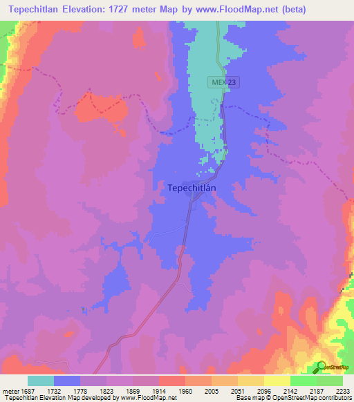 Tepechitlan,Mexico Elevation Map