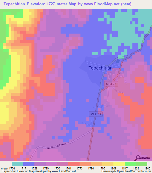 Tepechitlan,Mexico Elevation Map