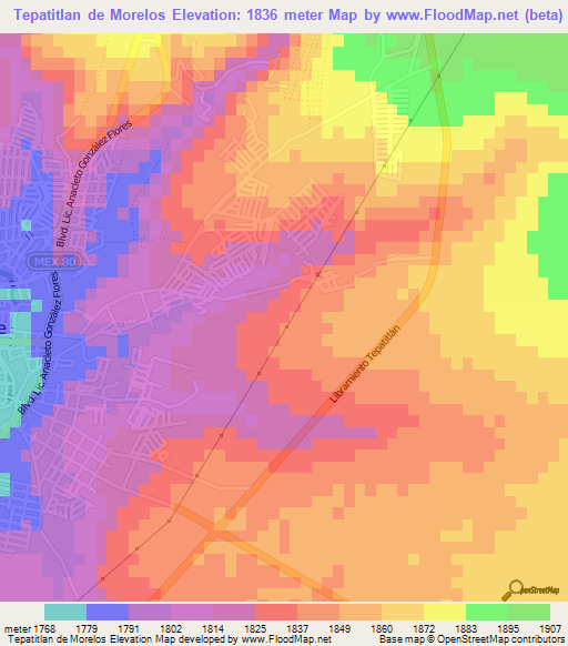 Tepatitlan de Morelos,Mexico Elevation Map