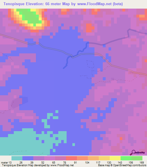 Tenopisque,Mexico Elevation Map