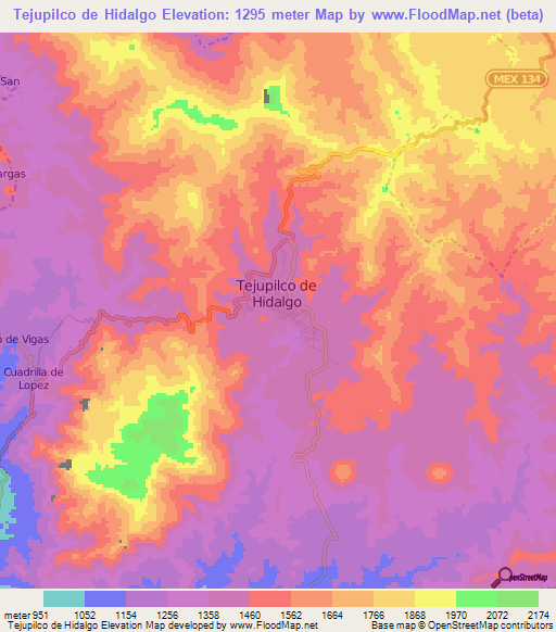 Tejupilco de Hidalgo,Mexico Elevation Map