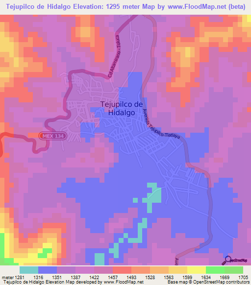 Tejupilco de Hidalgo,Mexico Elevation Map