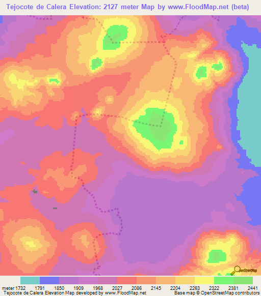 Tejocote de Calera,Mexico Elevation Map