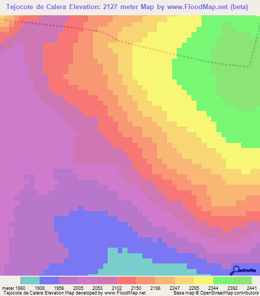 Tejocote de Calera,Mexico Elevation Map