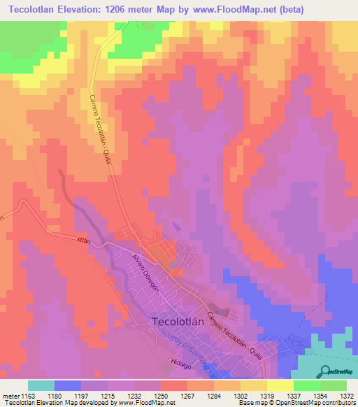 Tecolotlan,Mexico Elevation Map