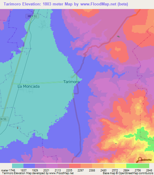 Tarimoro,Mexico Elevation Map