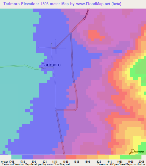 Tarimoro,Mexico Elevation Map