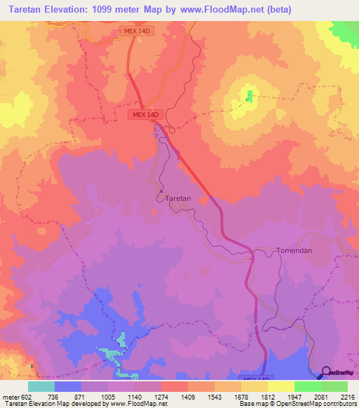 Taretan,Mexico Elevation Map