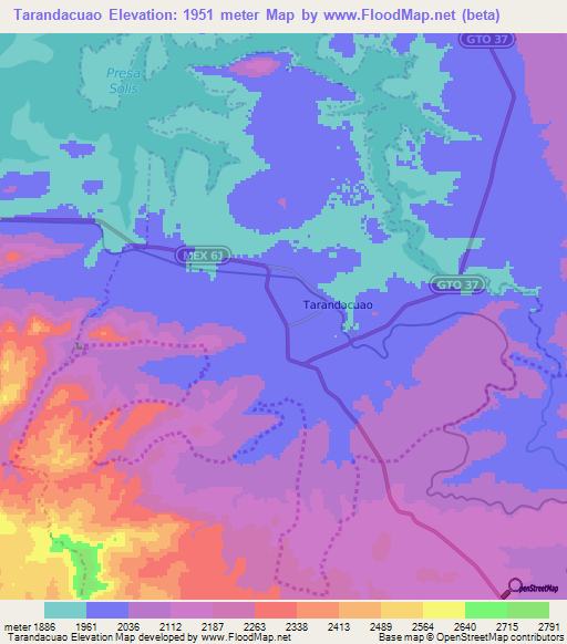 Tarandacuao,Mexico Elevation Map