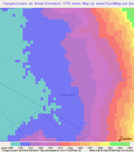 Tangancicuaro de Arista,Mexico Elevation Map