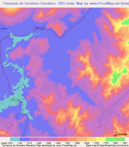 Tamazula de Gordiano,Mexico Elevation Map