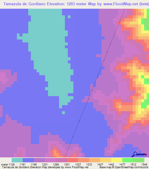 Tamazula de Gordiano,Mexico Elevation Map