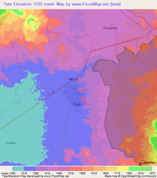 Tala,Mexico Elevation Map