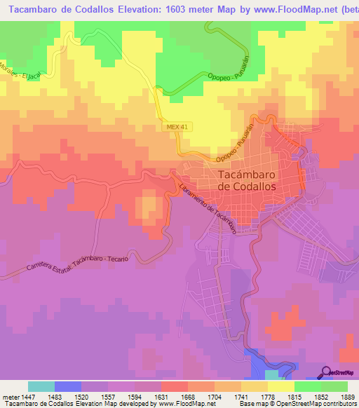 Tacambaro de Codallos,Mexico Elevation Map