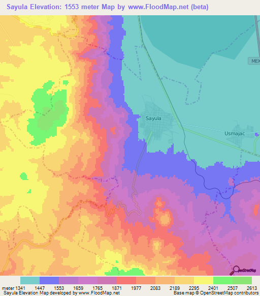 Sayula,Mexico Elevation Map