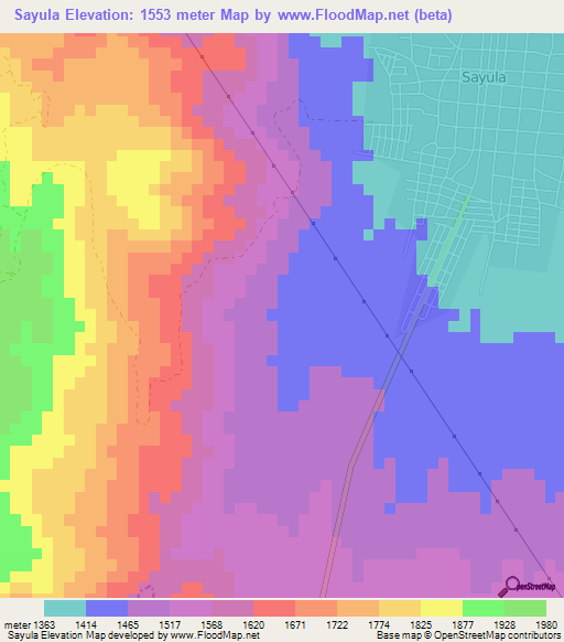 Sayula,Mexico Elevation Map