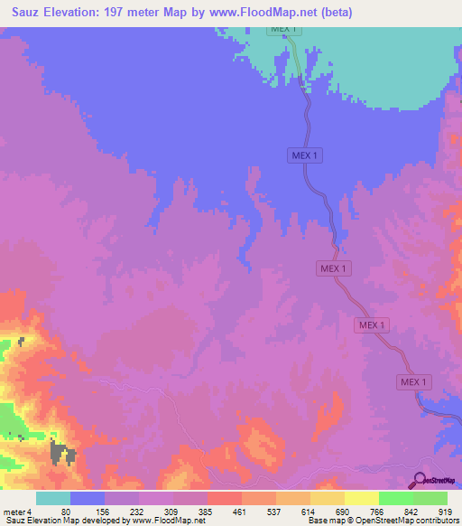 Sauz,Mexico Elevation Map