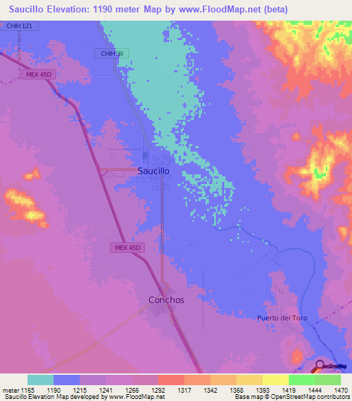 Saucillo,Mexico Elevation Map