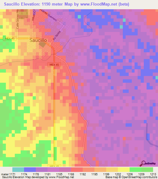 Saucillo,Mexico Elevation Map