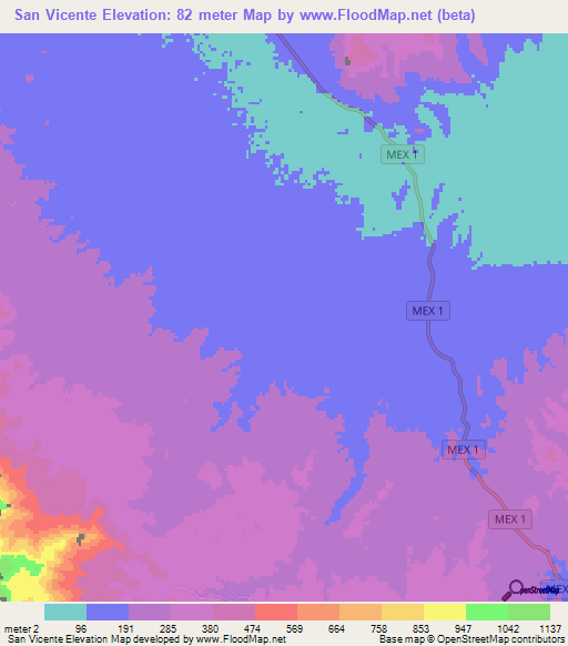 San Vicente,Mexico Elevation Map