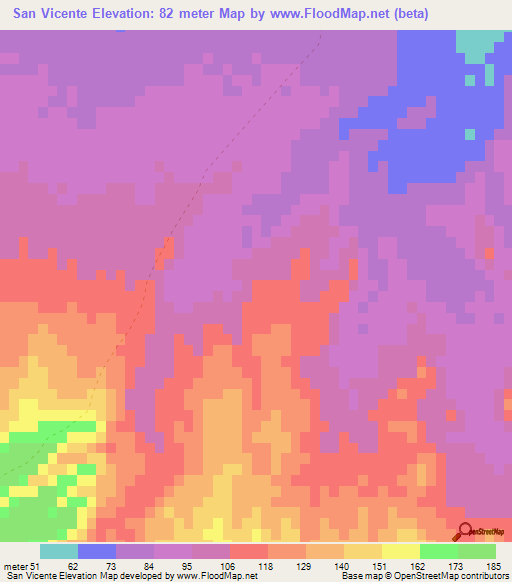 San Vicente,Mexico Elevation Map