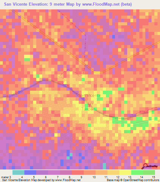 San Vicente,Mexico Elevation Map