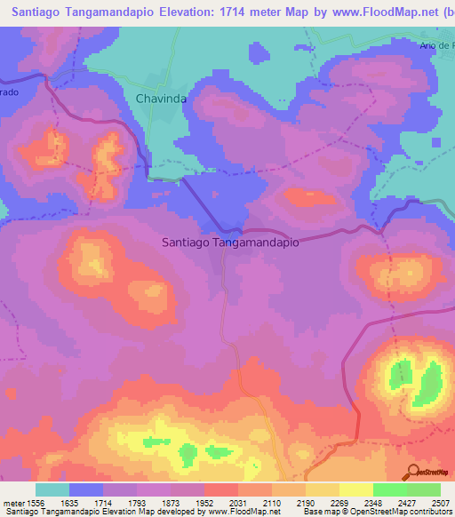 Santiago Tangamandapio,Mexico Elevation Map