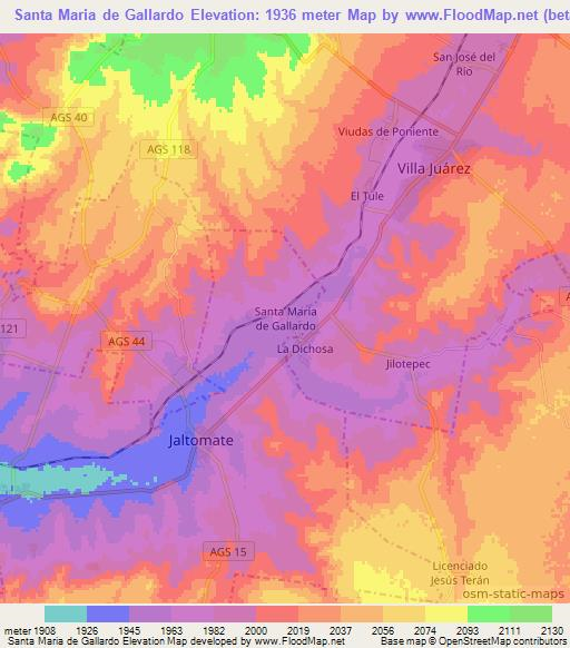 Santa Maria de Gallardo,Mexico Elevation Map