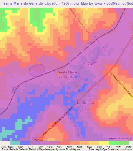 Santa Maria de Gallardo,Mexico Elevation Map